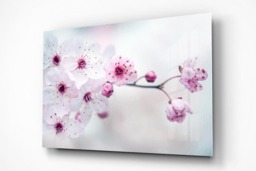 Rackhams Cherry Plum Blossom - Framed Print 16 x 12 inch - thumbnail 3