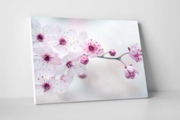 Rackhams Cherry Plum Blossom - Framed Print 16 x 12 inch - thumbnail 2
