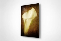 Rackhams A Life Once Lived - Framed Print 16 x 12 inch - thumbnail 2