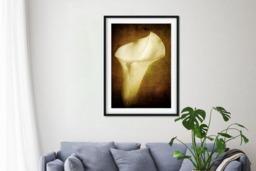 Rackhams A Life Once Lived - Framed Print 16 x 12 inch - thumbnail 3