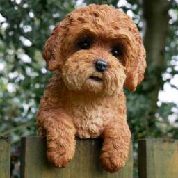 Rackhams Cockapoo Puppy Fence Hanger Garden Ornament
