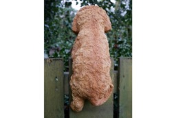 Rackhams Cockapoo Puppy Fence Hanger Garden Ornament - thumbnail 3