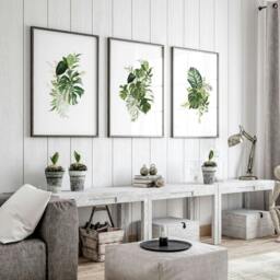 Rackhams Botanical prints - set of 3 wall art prints - 12 x 16 inches / 30.5 x 40.65 cm - Polyester Canvas 260 gsm - Canvas wrapped