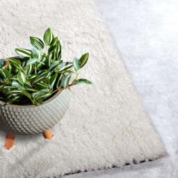 Rackhams Myk Olaf High Pile White Rug Plain Design - 200X290 cm - thumbnail 6