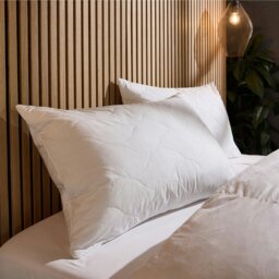 Rackhams Luxury Cotton Quilted Firm Support Pillow - Firm - 2