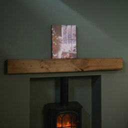 Rackhams 40cm x 30cm Battery Operated Light up Fibre Optic Christmas Dog & Robin Wall Art - thumbnail 3
