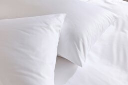 Rackhams 5 Star Classic Pillowcase - Pair - Cream - Standard - thumbnail 4