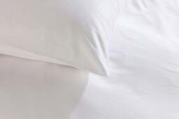Rackhams 5 Star Classic Pillowcase - Pair - Cream - Standard - thumbnail 3