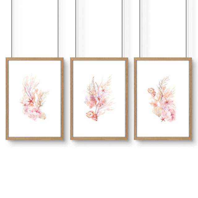 Rackhams Framed Pictures For The Bathroom - Set of 3 Seashells Wall art Prints - A3 11.69 x 16.54 in / 29.7 x 42 cm - Satin Photo paper 280 gsm - Oak Frame - image 1