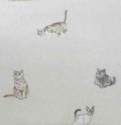 Rackhams Purrfect Cats Duvet Cover Set - Single - Single - thumbnail 2