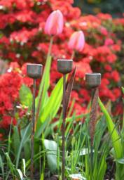 Rackhams Rusty Metal Tulip Garden Ornament - thumbnail 3