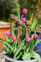 Rackhams Rusty Metal Tulip Garden Ornament - thumbnail 2