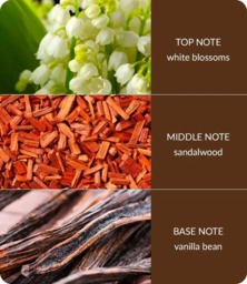 Rackhams White Blossom & Sandalwood - Bamboo Large Jar Candle - thumbnail 4