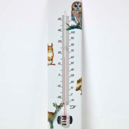 Rackhams Outdoor Thermometer with Woodland Animal Design - thumbnail 2