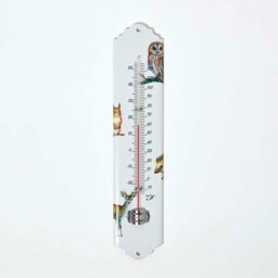 Rackhams Outdoor Thermometer with Woodland Animal Design