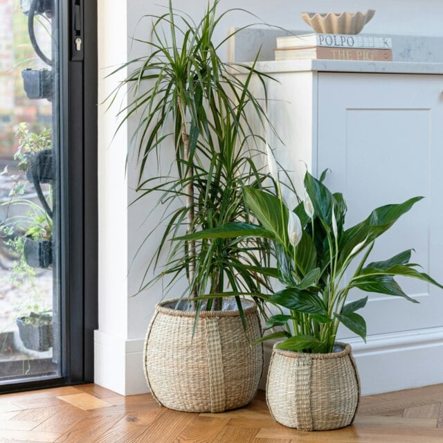 Rackhams Pando Seagrass Basket Natural Set of 2 - image 1