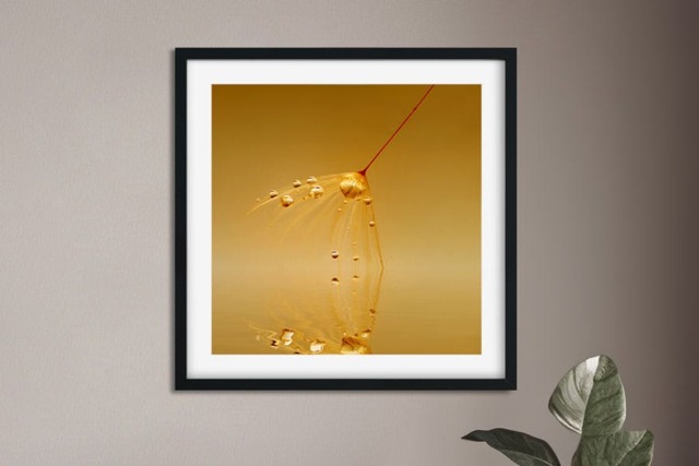Rackhams On Golden Pond - Framed Print 24 x 24 inch - image 1