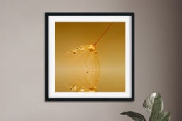 Rackhams On Golden Pond - Framed Print 24 x 24 inch