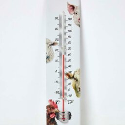 Rackhams Outdoor Thermometer with Farmyard Animal Design - thumbnail 2