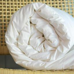 Rackhams 100% Canadian Goose Down Duvets - Superking - Summer Warmth (4.5 Tog) - thumbnail 3