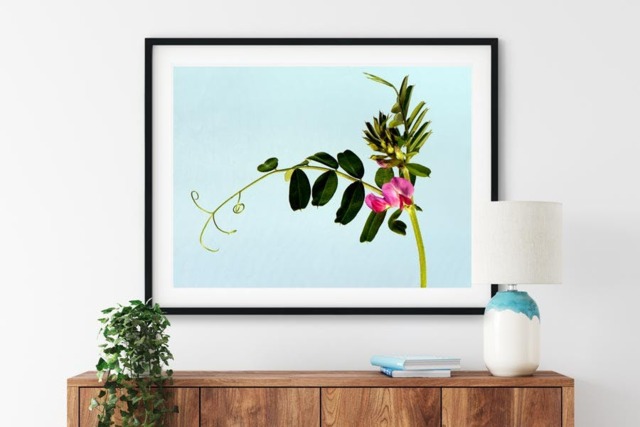 Rackhams Wildflower - Framed Print 30 x 20 inch - image 1