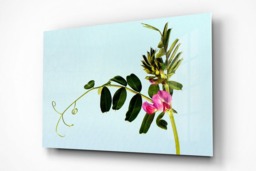 Rackhams Wildflower - Framed Print 30 x 20 inch - thumbnail 2
