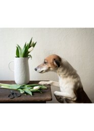 Rackhams Pure Collection Decorative Vase - thumbnail 4
