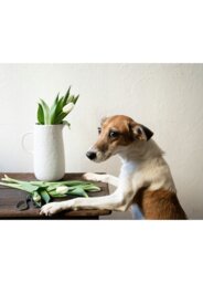 Rackhams Pure Collection Decorative Vase - thumbnail 3