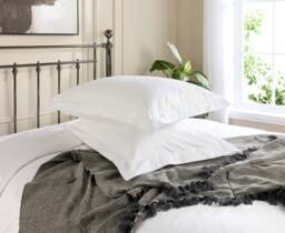 Rackhams 5 Star Oxford Pillowcase - Pair - Cream - Standard - thumbnail 2