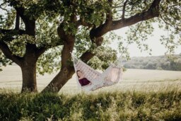 Rackhams Rio Bordeaux Hammock - thumbnail 2