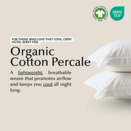 Rackhams Cool & Crisp Pillowcase Pair in White (Organic Cotton) - Super King - 'Oxford' Sham - thumbnail 4