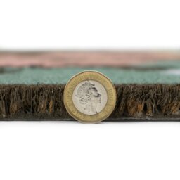 Rackhams Eco-Friendly Latex Backed Coir Entrance Doormat, 45x75cm - Hedgehog - thumbnail 5