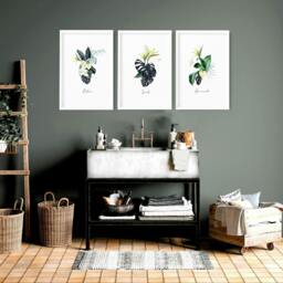 Rackhams Decoration for bathroom walls - Set of 3 Tropical wall art - 20 x 30 in / 50 x 76 cm - Matte Museum Quality Art Paper 290 gsm - Black Frame - thumbnail 1
