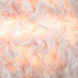 Rackhams Contemporary and Unique Large Pink Real Feather Decorated Pendant Light Shade - thumbnail 3