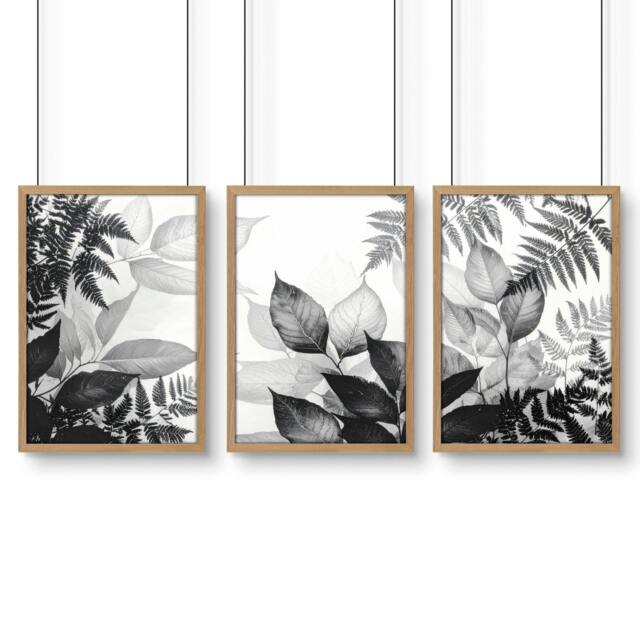 Rackhams Botanical Wall Art - Set of 3 Botanical Wall art Prints - A4 8.27 x 11.69 in / 21 x 29.7 cm - Satin Photo paper 280 gsm - Oak Frame - image 1