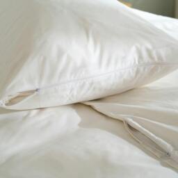 Rackhams Water Repellent Pillow Protector - Standard - Pair