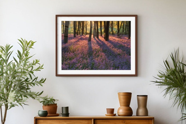 Rackhams Bluebell Dawn - Framed Print 30 x 20 inch - image 1