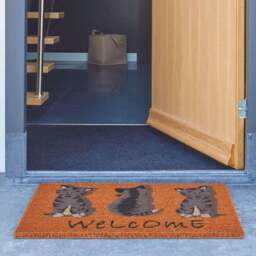Rackhams Coir Animal Welcome Cats Mat 40x70 cm - thumbnail 2