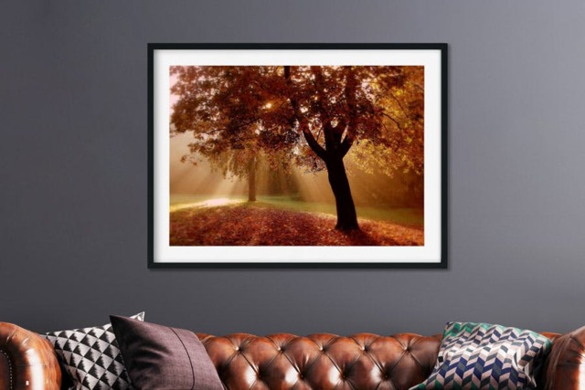Rackhams Autumn Sunburst - Framed Print 30 x 20 inch - image 1