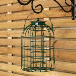 Rackhams Pack of 6 Wild Bird Fat Ball Feeder with Squirrel Guard - thumbnail 6