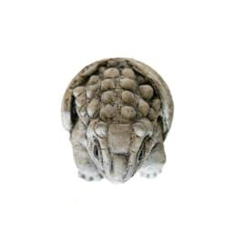Rackhams Small Stone Cast Anchisaurus Garden Sculpture Dinosaur Animal Statue - thumbnail 4