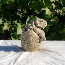 Rackhams Small Stone Cast Anchisaurus Garden Sculpture Dinosaur Animal Statue - thumbnail 6