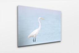 Rackhams At The Beach - Framed Print 20 x 16 inch - thumbnail 2