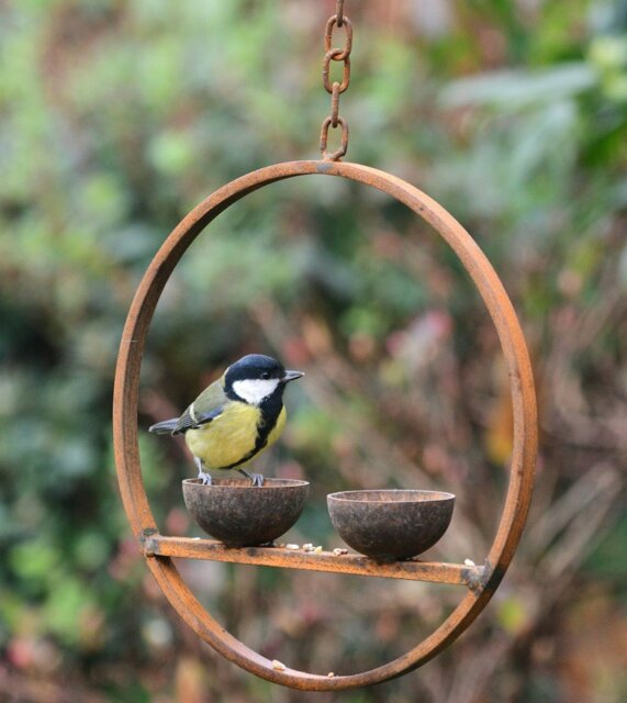 Rackhams Double Hanging Bird Feeder Ring - image 1