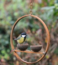 Rackhams Double Hanging Bird Feeder Ring