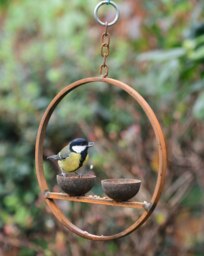 Rackhams Double Hanging Bird Feeder Ring - thumbnail 6