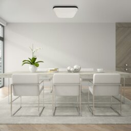 Rackhams Nemo 17W(100W) Ceiling Lamp A Stylish Robust 33cm Ceiling Lamp With Matt Black Edging Outdoor Or Bathroom - thumbnail 2