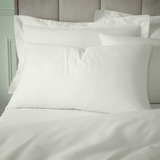 Rackhams 180 Thread Count Egyptian Cotton Standard Pillow case Pair Cream - Standard - Cream - image 1