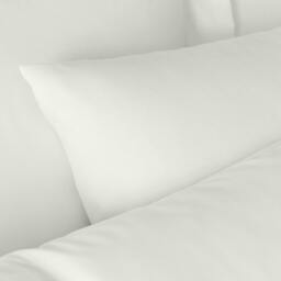 Rackhams 180 Thread Count Egyptian Cotton Standard Pillow case Pair Cream - Standard - Cream - thumbnail 2