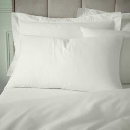 Rackhams 180 Thread Count Egyptian Cotton Standard Pillow case Pair Cream - Standard - Cream